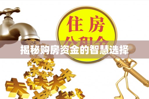 公馆揭秘购房资金的智慧选择